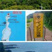 ヒメ日記 2025/08/24 14:57 投稿 瀬戸ゆりか 五十路マダム 博多店