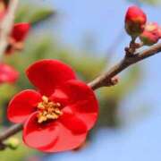 ヒメ日記 2025/02/09 02:48 投稿 ゆう ミルキーパイ