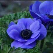 ゆう ありがとうございました🙇‍♂️ ミルキーパイ