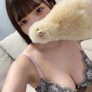 ヒメ日記 2025/09/09 14:01 投稿 ちなつ 君を舐めたくて学園