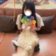 ちなつ ネッコちゃんっ 君を舐めたくて学園