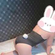 最高 バニーガール👯 奴隷コレクション