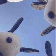 ヒメ日記 2025/01/10 07:03 投稿 松田 めい プルプルハウス