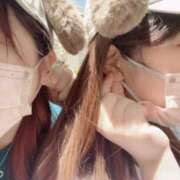 ヒメ日記 2025/01/28 07:01 投稿 松田 めい プルプルハウス