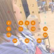 ヒメ日記 2025/02/05 05:45 投稿 松田 めい プルプルハウス