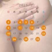 ヒメ日記 2025/02/11 10:02 投稿 松田 めい プルプルハウス