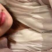 ヒメ日記 2025/04/20 08:02 投稿 松田 めい プルプルハウス