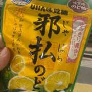 ヒメ日記 2025/04/22 07:02 投稿 松田 めい プルプルハウス