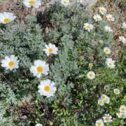 ヒメ日記 2025/04/26 06:00 投稿 松田 めい プルプルハウス