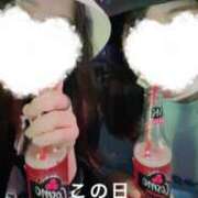 ヒメ日記 2025/04/28 09:02 投稿 松田 めい プルプルハウス