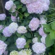 ヒメ日記 2025/06/10 06:30 投稿 松田 めい プルプルハウス