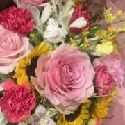 ヒメ日記 2025/07/11 05:00 投稿 松田 めい プルプルハウス