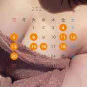 ヒメ日記 2025/07/15 07:01 投稿 松田 めい プルプルハウス