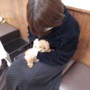 ヒメ日記 2025/09/11 06:00 投稿 松田 めい プルプルハウス