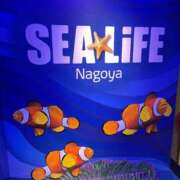 ヒメ日記 2025/11/27 01:17 投稿 松田 めい プルプルハウス