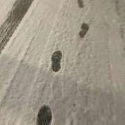 ヒメ日記 2026/02/09 05:53 投稿 松田 めい プルプルハウス