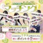 ヒメ日記 2026/03/12 12:23 投稿 松田 めい プルプルハウス