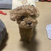 ヒメ日記 2026/01/24 08:17 投稿 ほのか ライラック