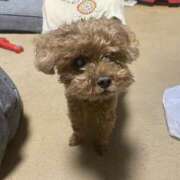 ヒメ日記 2026/01/24 08:22 投稿 ほのか DANKAN（ダンカン）