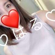 ヒメ日記 2025/04/15 12:40 投稿 春-はる【FG系列】 ほんつま 町田/相模原店