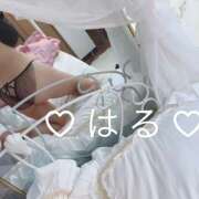 ヒメ日記 2025/06/05 11:51 投稿 春-はる【FG系列】 ほんつま 町田/相模原店