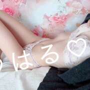 ヒメ日記 2025/12/14 11:00 投稿 春-はる【FG系列】 ほんつま 町田/相模原店