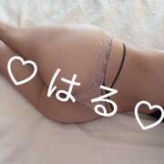 ヒメ日記 2025/12/23 09:19 投稿 春-はる【FG系列】 ほんつま 町田/相模原店