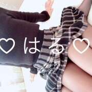 春-はる【FG系列】 今週は((o(･v･)o)) ほんつま 町田/相模原店