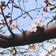 ヒメ日記 2026/03/22 22:50 投稿 はな 美熟女倶楽部Hip's西川口店