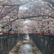 ヒメ日記 2026/04/02 23:50 投稿 はな 美熟女倶楽部Hip's西川口店