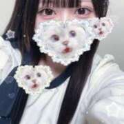 つむぎ おしらせ 横浜Cute