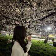 ヒメ日記 2025/03/28 19:01 投稿 りおん 錦糸町人妻ヒットパレード（シンデレラグループ）