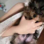 ヒメ日記 2025/05/24 16:30 投稿 せいか ジュリアングループ八王子店