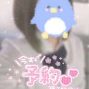 ヒメ日記 2024/12/15 08:35 投稿 せな 奥様さくら梅田店