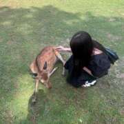 ヒメ日記 2025/06/03 08:48 投稿 しゅうな ワンダフル