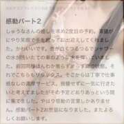 ヒメ日記 2025/11/11 17:30 投稿 しゅうな ワンダフル