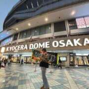 ヒメ日記 2025/11/19 16:48 投稿 しゅうな ワンダフル