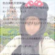 ヒメ日記 2025/12/06 09:20 投稿 しゅうな ワンダフル