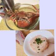 ヒメ日記 2024/12/23 09:43 投稿 藍井おとみ コウテイ