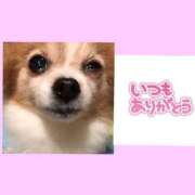 ヒメ日記 2024/12/31 22:35 投稿 藍井おとみ コウテイ