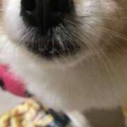 ヒメ日記 2025/01/16 23:25 投稿 藍井おとみ コウテイ