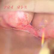 ヒメ日記 2025/01/27 20:21 投稿 藍井おとみ コウテイ