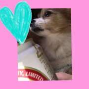 ヒメ日記 2025/01/31 00:35 投稿 藍井おとみ コウテイ