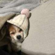 ヒメ日記 2025/02/11 16:25 投稿 藍井おとみ コウテイ