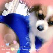 ヒメ日記 2025/02/16 12:11 投稿 藍井おとみ コウテイ