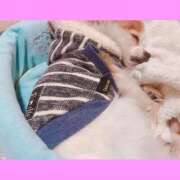 ヒメ日記 2025/02/23 08:29 投稿 藍井おとみ コウテイ