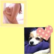 ヒメ日記 2025/03/11 20:25 投稿 藍井おとみ コウテイ