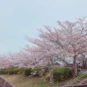 ヒメ日記 2025/04/12 16:37 投稿 藍井おとみ コウテイ