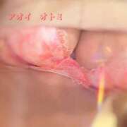 ヒメ日記 2025/04/21 22:45 投稿 藍井おとみ コウテイ