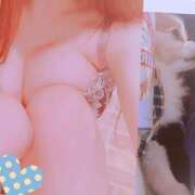 ヒメ日記 2025/04/26 03:09 投稿 藍井おとみ コウテイ